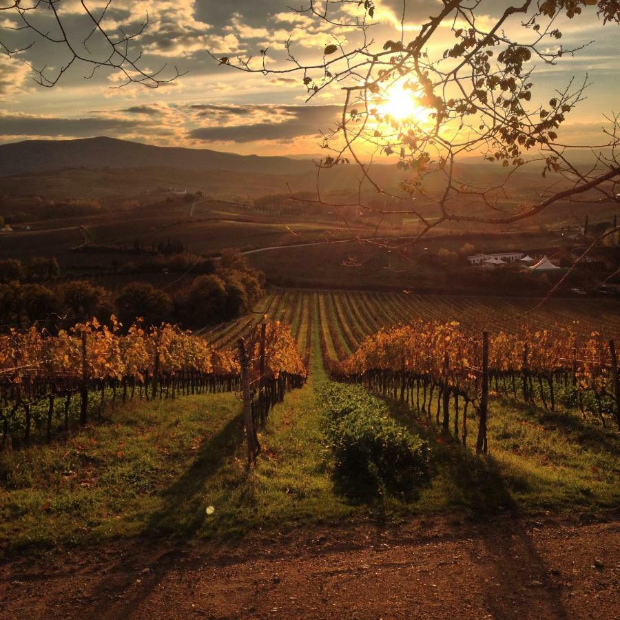 Residenza Cornino Apartman Castellina in Chianti Kültér fotó